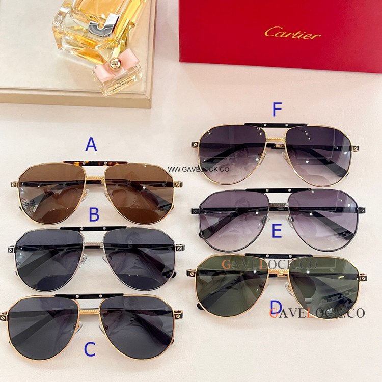 Clone Santos Cartier Toad Sunglasses Men ct00568s